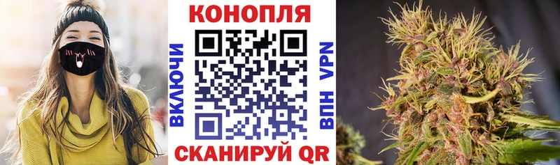 Конопля Bruce Banner  это официальный сайт  Мамадыш 